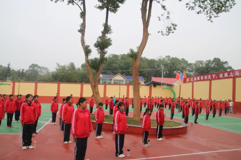 1761820608543233.jpg image16.JPG